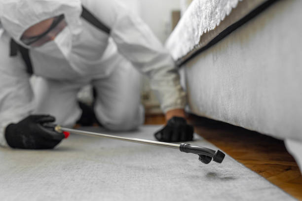 Professional Termite Control technician working in Glendale, MS