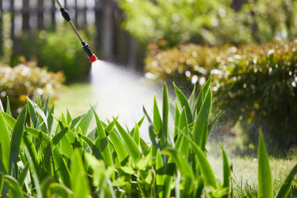 24/7 Emergency Termite Control experts in Glendale, MS